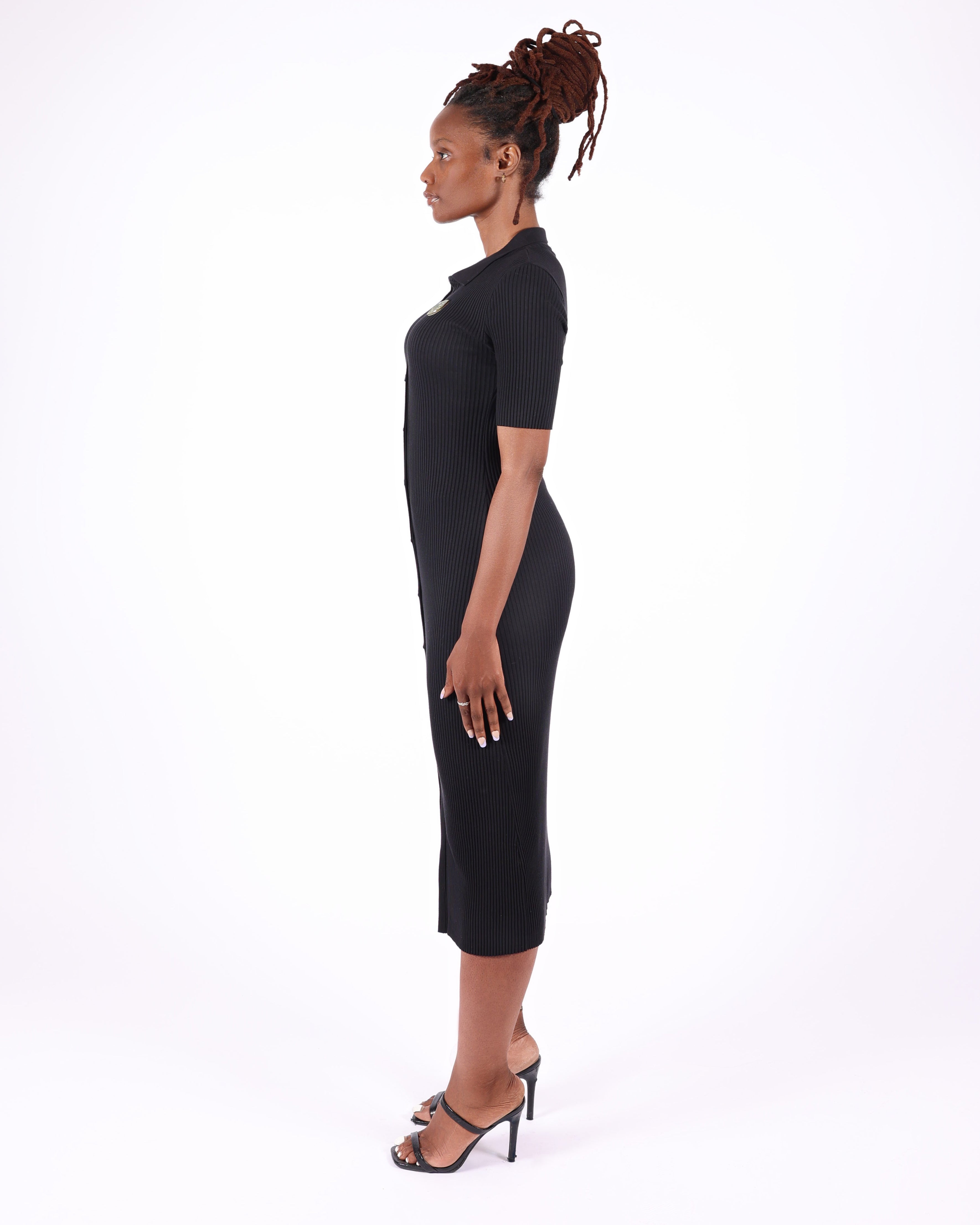 Short Sleeve Collar Dress